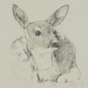 Meet your Posher, Breanna